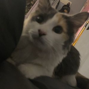 Meet your Posher, Aaron